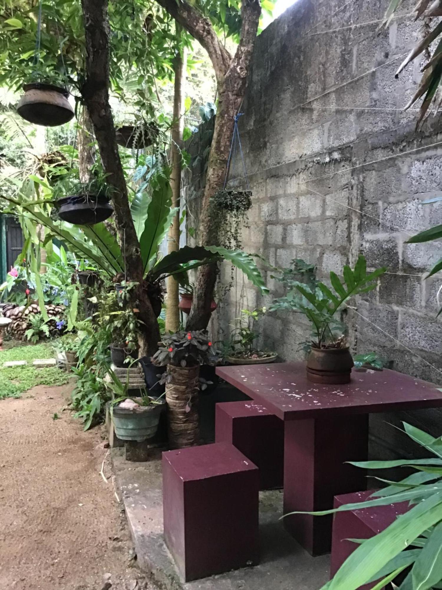 Sanjeehome & Lanka Ayurveda, ベントータ エクステリア 写真