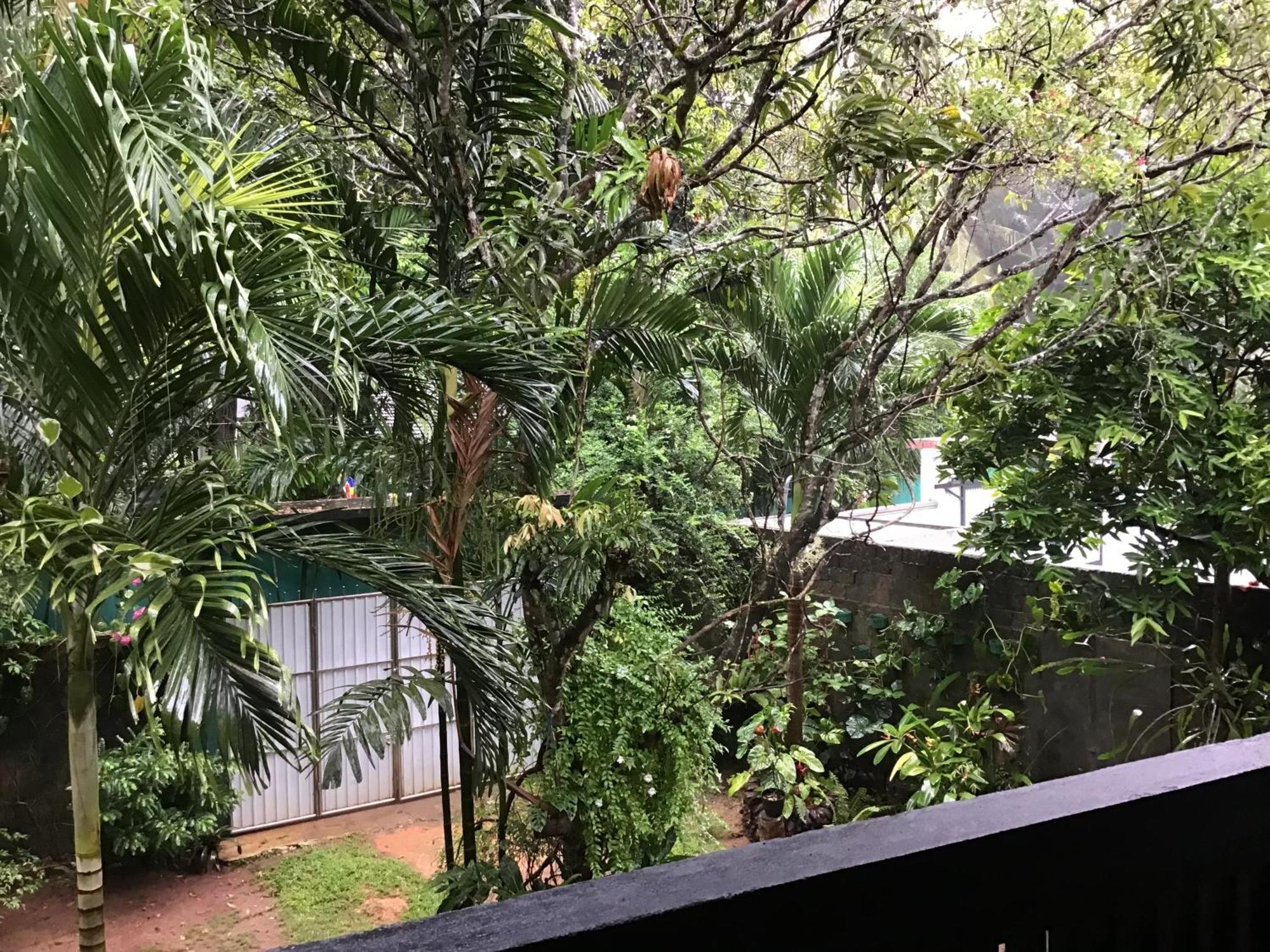 Sanjeehome & Lanka Ayurveda, ベントータ エクステリア 写真